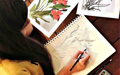 Art Curriculum for Teens & High School Homeschoolers